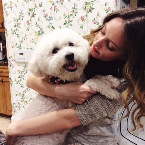 snuggliest dog breeds  rovercom