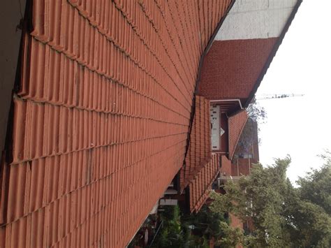 High speed rails will update Northeast Amtrak map by next year 8