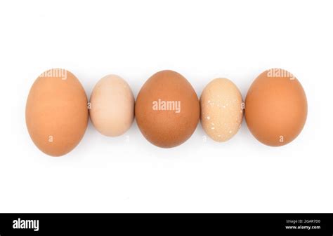 Comparing standard chicken eggs and bantam eggs. Isolated on white ...