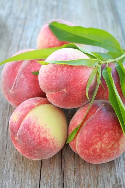 peaches womack nursery fruit photography peach fruit exotic fruit