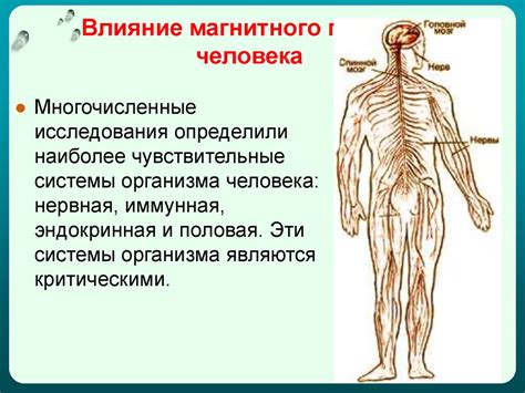 Влияние электромагнитного поля на биологические объекты - презентация ...