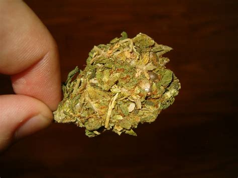 Dank from Mid? - Marijuana Cultivation - Growery Message Board