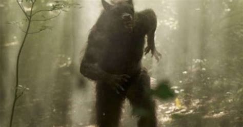 These Bigfoot And Dogman Stories From Kentucky Are Freaky!