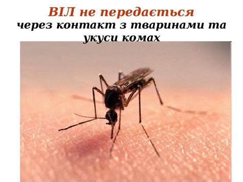ВІЛ. СНІД. - скачать презентацию