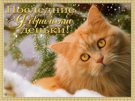 Анимированная открытка Последние февральские деньки!
