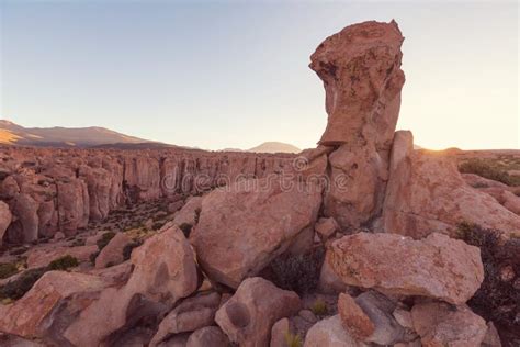 Andes in Bolivia stock image. Image of tour, landscape - 210448625