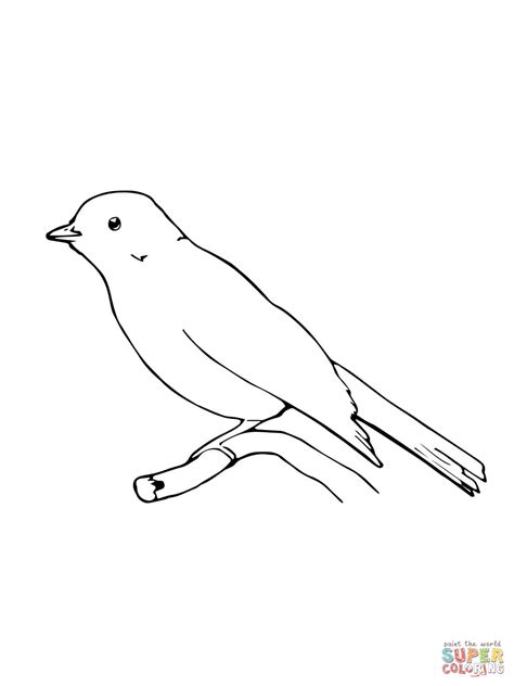 Perched Phoebe bird coloring page | Free Printable Coloring Pages