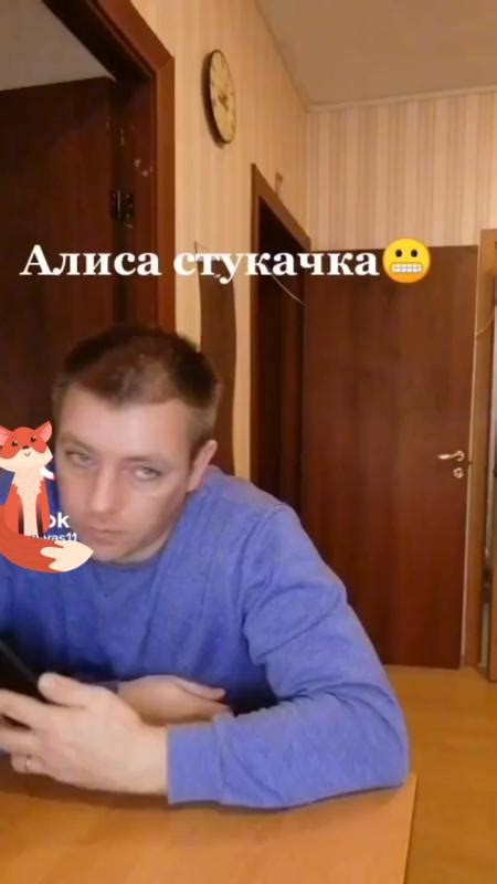 Алиса алиса привет алиса наш пароль стукачка кому вчера звонила жена ...