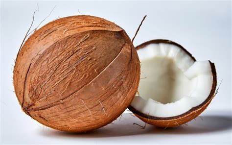 150+ Coconut Captions for Those Coco Days