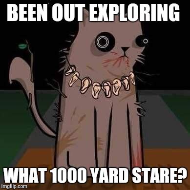 elite dangerous Memes & GIFs - Imgflip