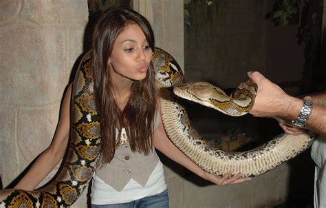 Snake Eat Human Video at Juanita Saavedra blog