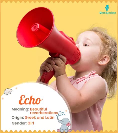 echo  meaning complete guide  origin  history