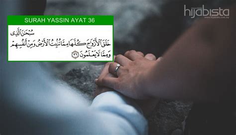 Menjemput Jodoh Hampir Dengan Anda, Amalkan Ayat 36 Surah Yasin. Elok ...