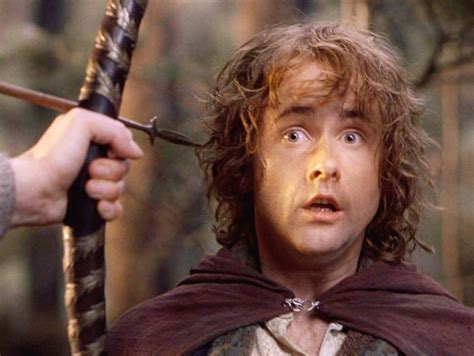 Pippin [Peregrin Took] | Signore degli anelli, Anelli