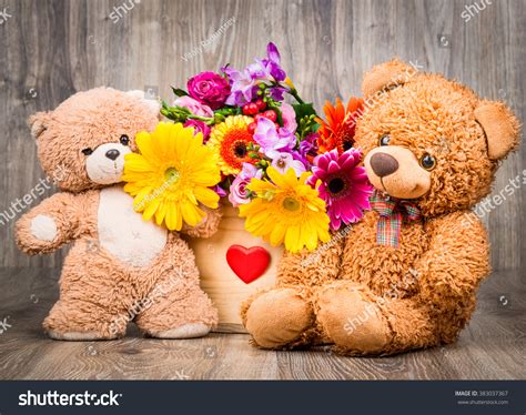 beautiful pictures  teddy bears