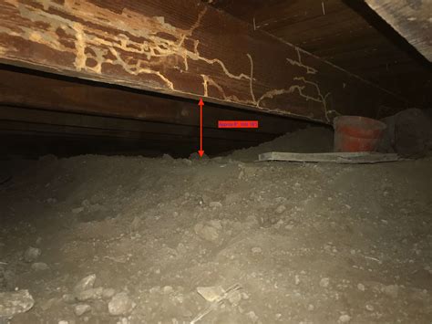 When Minor Structural Issues Turn Into Major Problems (and How to Fix