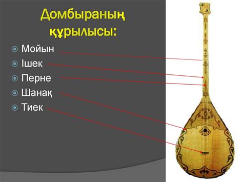 Домбыраның құрылысы - презентация онлайн