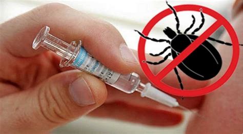 Литва закупила вакцину против клещевого энцефалита | NEWS.TTS.LT
