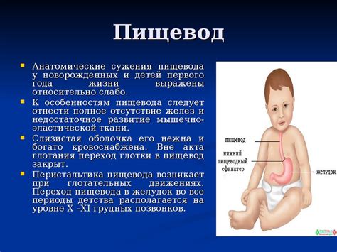 АФО органов пищеварения у детей - презентация онлайн