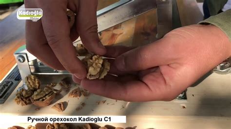 Орехокол C1 для орехов - YouTube