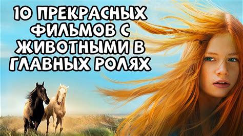 10 прекрасных фильмов с животными в главных ролях - YouTube