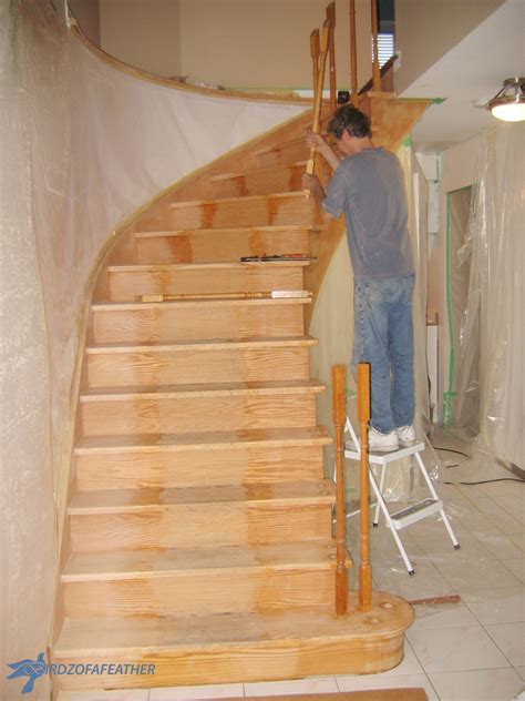 Staircase Makeover: How to Refinish Stairs - Birdz of a Feather