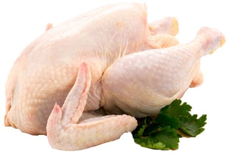 ayam meat  fresh