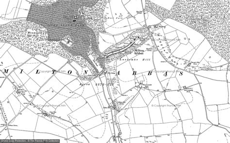 Historic Ordnance Survey Map of Milton Abbas, 1887