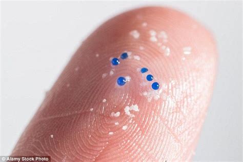 Potential Dangers of Plastic Microbeads in the Food Chain