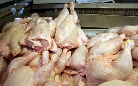 Como Saber Se O Frango Estragou - Frango estragado e salmonela em supermercado