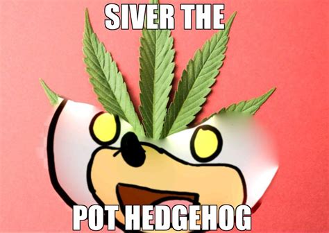 silver meme sonic  hedgehog amino