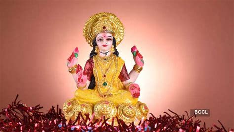 dhania seeds  jhaadu  bought  dhanteras times  india