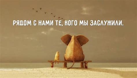 Открытка дня