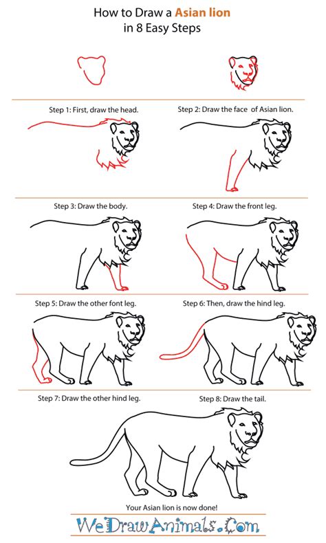 draw  asian lion
