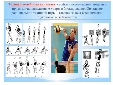 Правила игры в волейбол - презентация онлайн