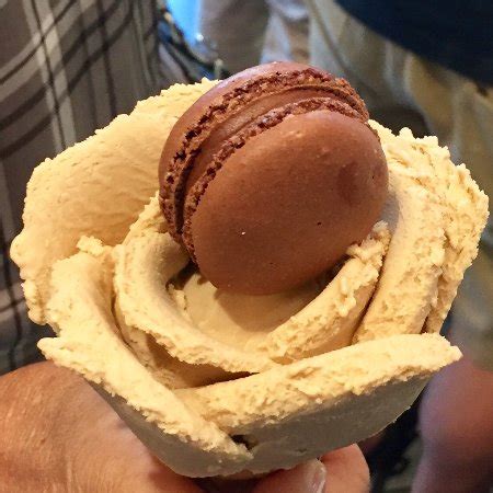 AMORINO GELATO, Houston - Great Uptown - Photos & Restaurant Reviews