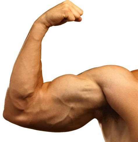 muscle man png image purepng  transparent cc png image library