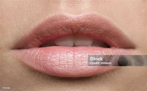 natural lips stock photo  image  human lips close