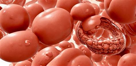 Unlocking Cellular Reactions: The Multifaceted Role of Enzymes