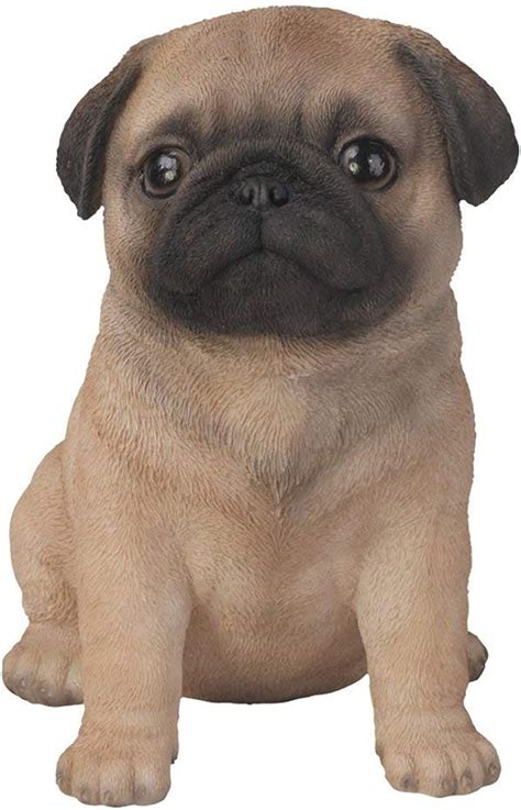 Vivid Arts Pug Puppy - Abbeygate Lighting