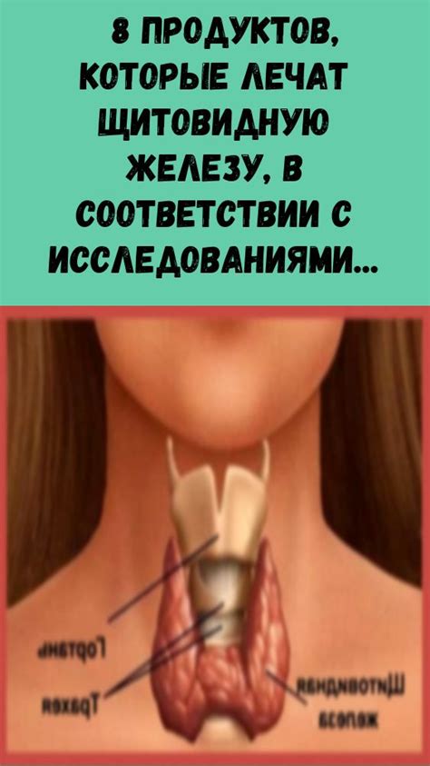 Народная медецина | Мужское здоровье, Здоровье, Факты о здоровье