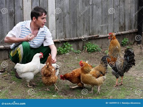 Comendo O Cu Da Galinha - Homem Comendo Cu De Galinha - ZULEDU
