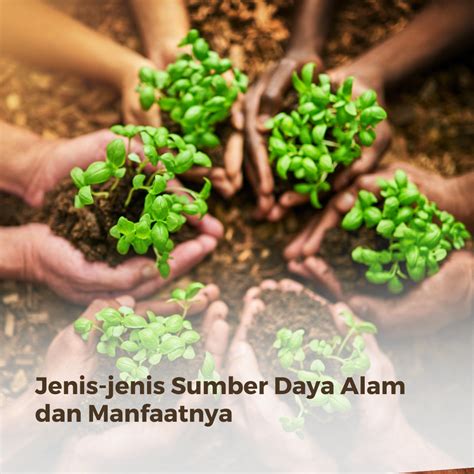 jenis jenis sumber daya alam  manfaatnya dunia pendidik