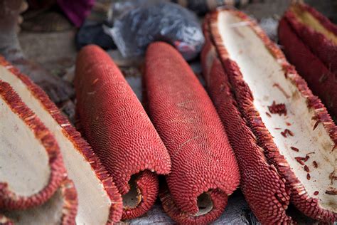 Buah Merah - Homecare24