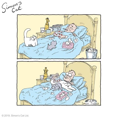 Simon s cat – Artofit