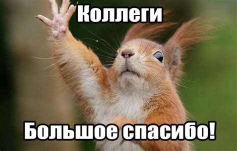 Картинки Спасибо Коллеги - красивые открытки бесплатно