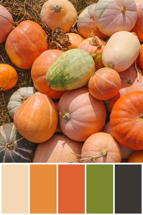 colors for thanksgiving - Fashion Professional