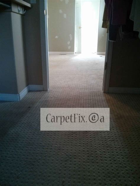 5 Simple Steps To Fluff Out The Frustrations: How To Smooth Out Carpet Wrinkles