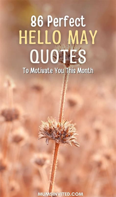 800+ Inspirational New Month Quotes To Make Each Day Count - Mums Invited