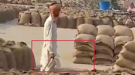 Shocking! Man pours water on tons of foodgrain bags to increase weight ...